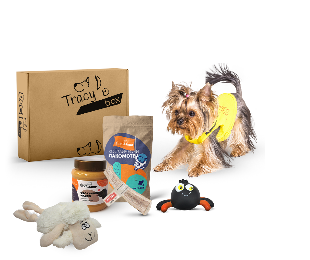 Как би изглеждал doginBOX за малко кученце. Важно: продуктите в твоя doginBOX ще бъдат специално подбрани според нуждите на твоя куч. Размерът на кучето е само една малка част от критериите, чрез които персонализираме кутията!