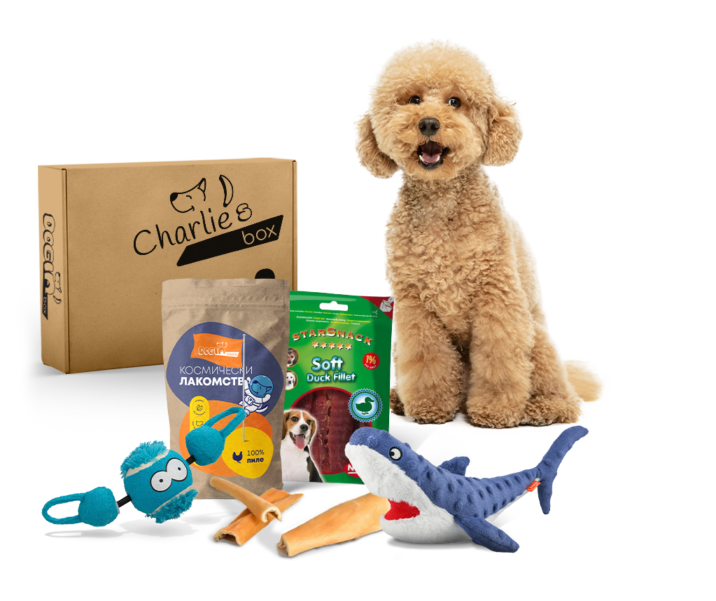 Как би изглеждал doginBOX за средно на размер куче. Важно: продуктите в твоя doginBOX ще бъдат специално подбрани според нуждите на твоя куч. Размерът на кучето е само една малка част от критериите, чрез които персонализираме кутията!