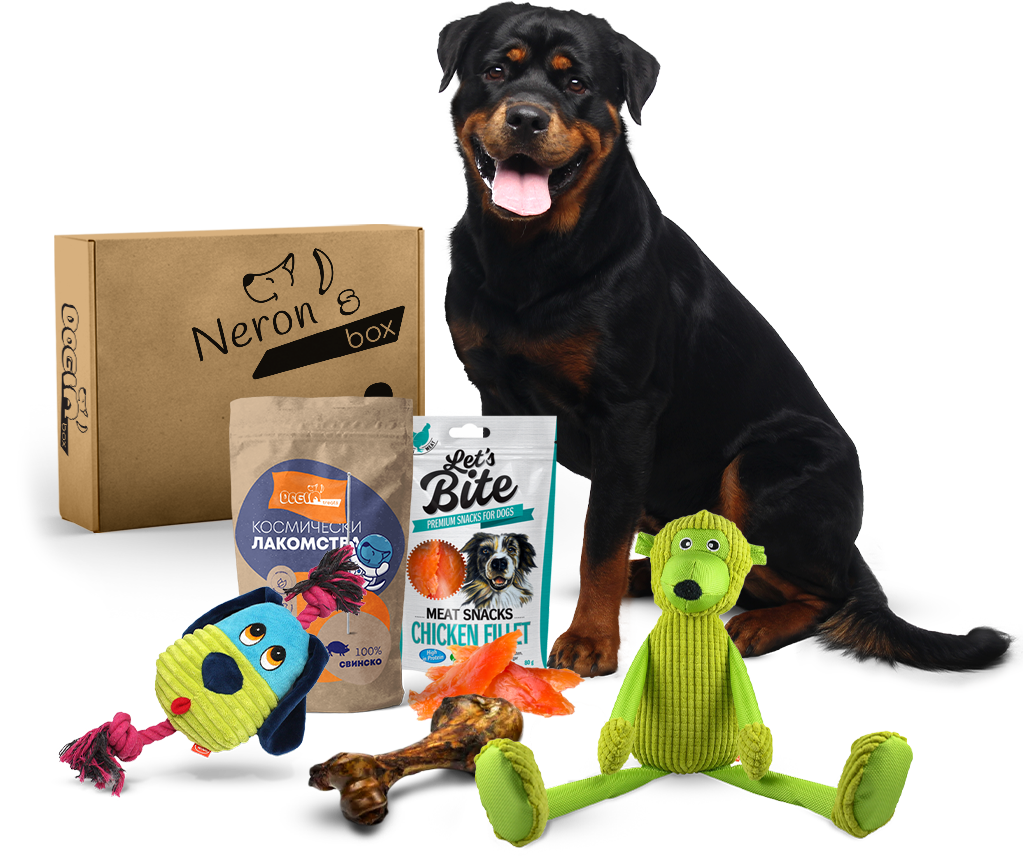 Как би изглеждал doginBOX за голямо куче. Важно: продуктите в твоя doginBOX ще бъдат специално подбрани според нуждите на твоя куч. Размерът на кучето е само една малка част от критериите, чрез които персонализираме кутията!