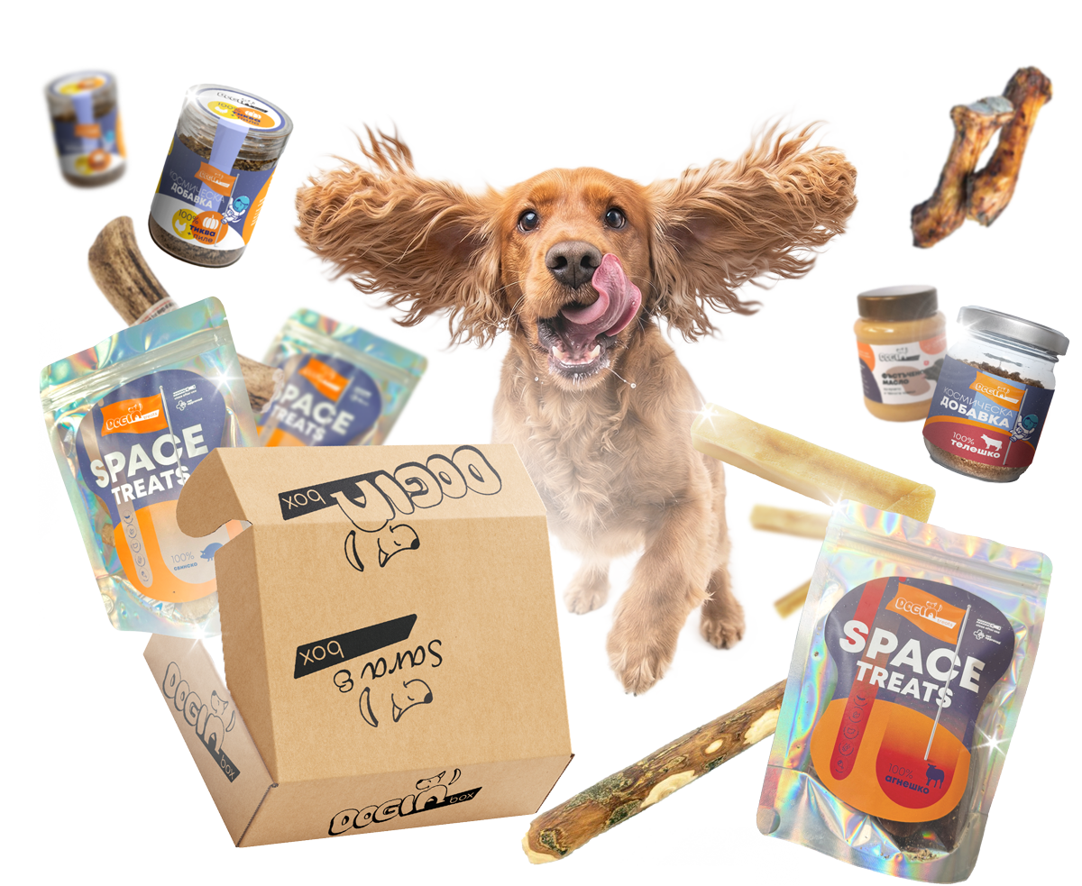 Как би изглеждал doginBOX за голямо куче. Важно: продуктите в твоя doginBOX ще бъдат специално подбрани според нуждите на твоя куч. Размерът на кучето е само една малка част от критериите, чрез които персонализираме кутията!